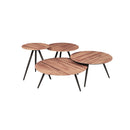 ***MESA DE CENTRO ACABADO DE MADERA SET DE 4