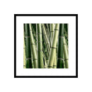 ***FRAMED PRINTINGS