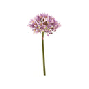 PURPLE AFRICAN AGAPANTHUS