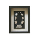 ***WALL DECOR MIRROR