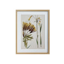 ******FRAMED PRINTINGS