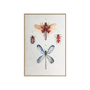 ******FRAMED PRINTINGS