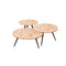 *****MESA DE CENTRO ACABADO DE MADERA SET DE 3