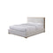 CAMA KING ALLEN
