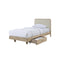 CAMA TWIN AYDEN