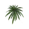 HELECHO BOSTON FERN  ARTIFICIAL COLOR VERDE
