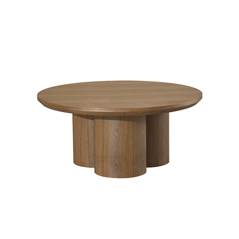 MESA DE CENTRO ACABADO DE MADERA