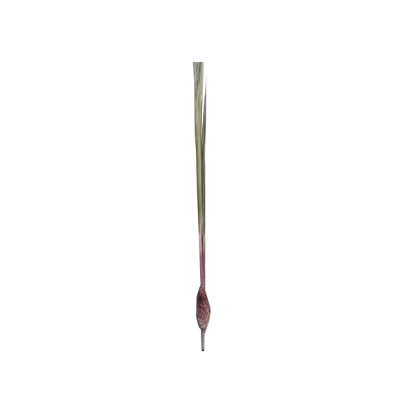 *4.5' LONG GRAN