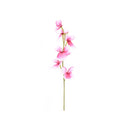 PINK BEANCURD FLOWER