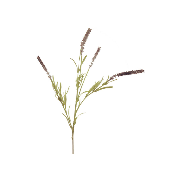 PURPLE LAVANDER