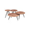 *****MESA DE CENTRO ACABADO DE MADERA SET DE 4