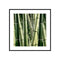 FRAMED PRINTINGS