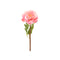 PINK PEONY