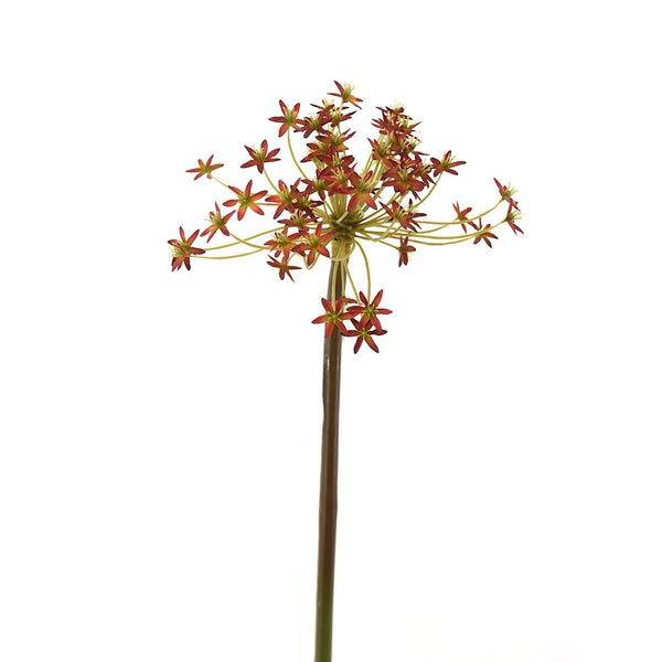 RED WILD ALLIUM