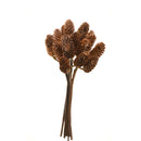 PINECONE BUNCH