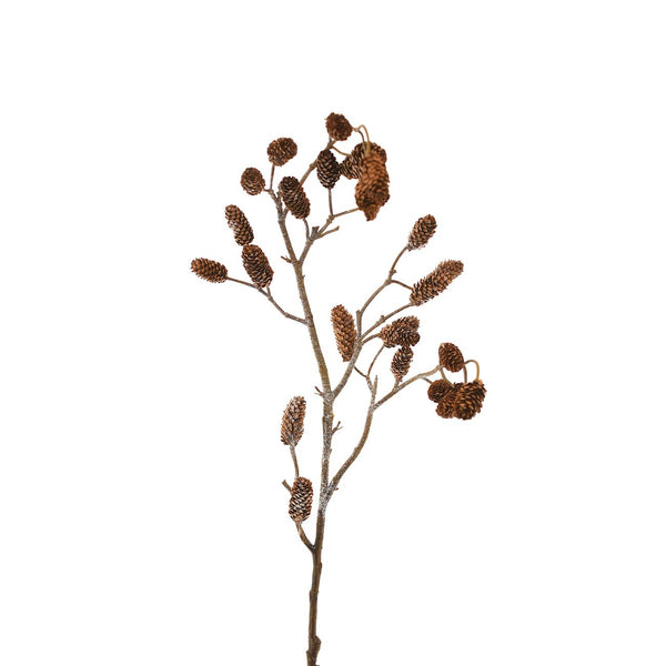 PINECONE SPRAY